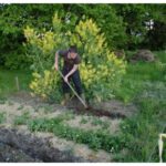 Gartenarbeit