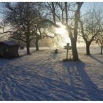 Morgenstimmung – Blick über den Gartenzaun